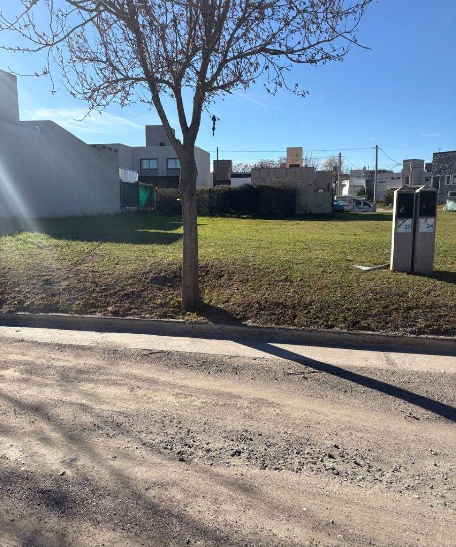 Foto de VENTA 2 TERRENOS TEJAS 4 350 mtrs, imagen 3