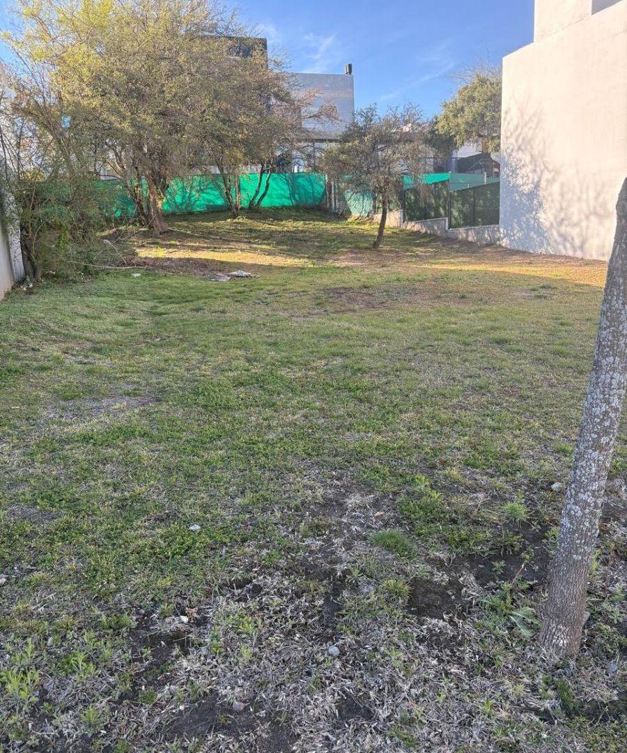 Foto de VENTA 2 TERRENOS TEJAS 4 350 mtrs, imagen 5