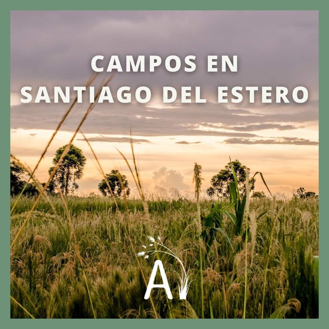 Foto de VENDO 4011 HAS. DE CAMPO EN OJO DE AGUA - SANTIAGO DEL ESTERO, imagen 3