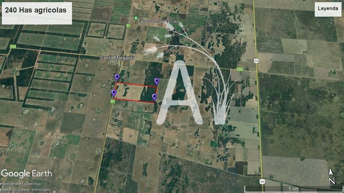 VENDO 225 HAS AGRICOLAS - SANTA MARGARITA