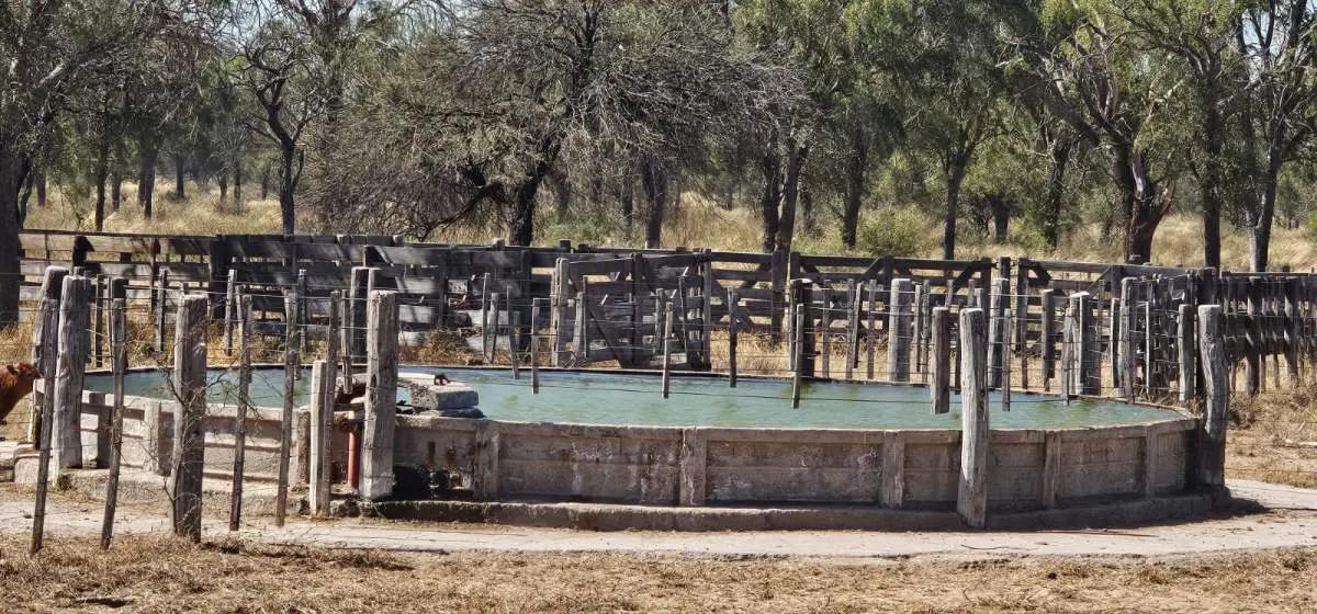 Foto de Campo Ganadero en El Recreo, Catamarca | 4.051 Has, imagen 4