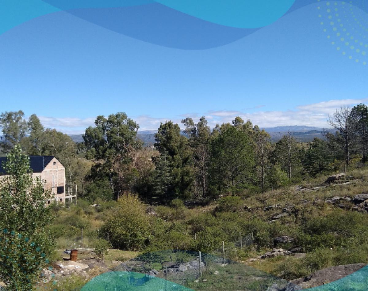 Estancia Vieja - Casa de Categoria 1