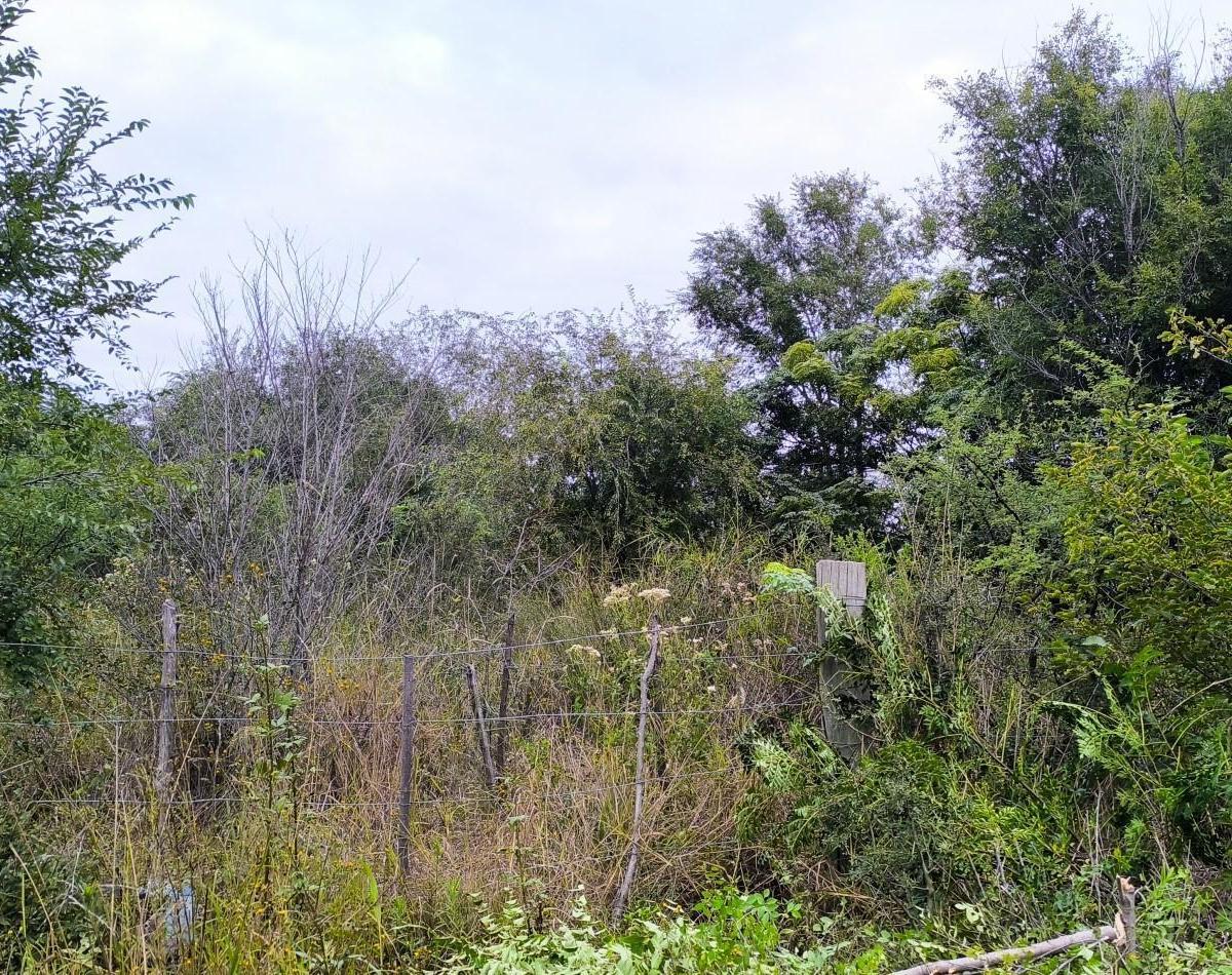 Foto de Vendo lote de 712m2 en Cosquin- Molinari Cordoba, imagen 3