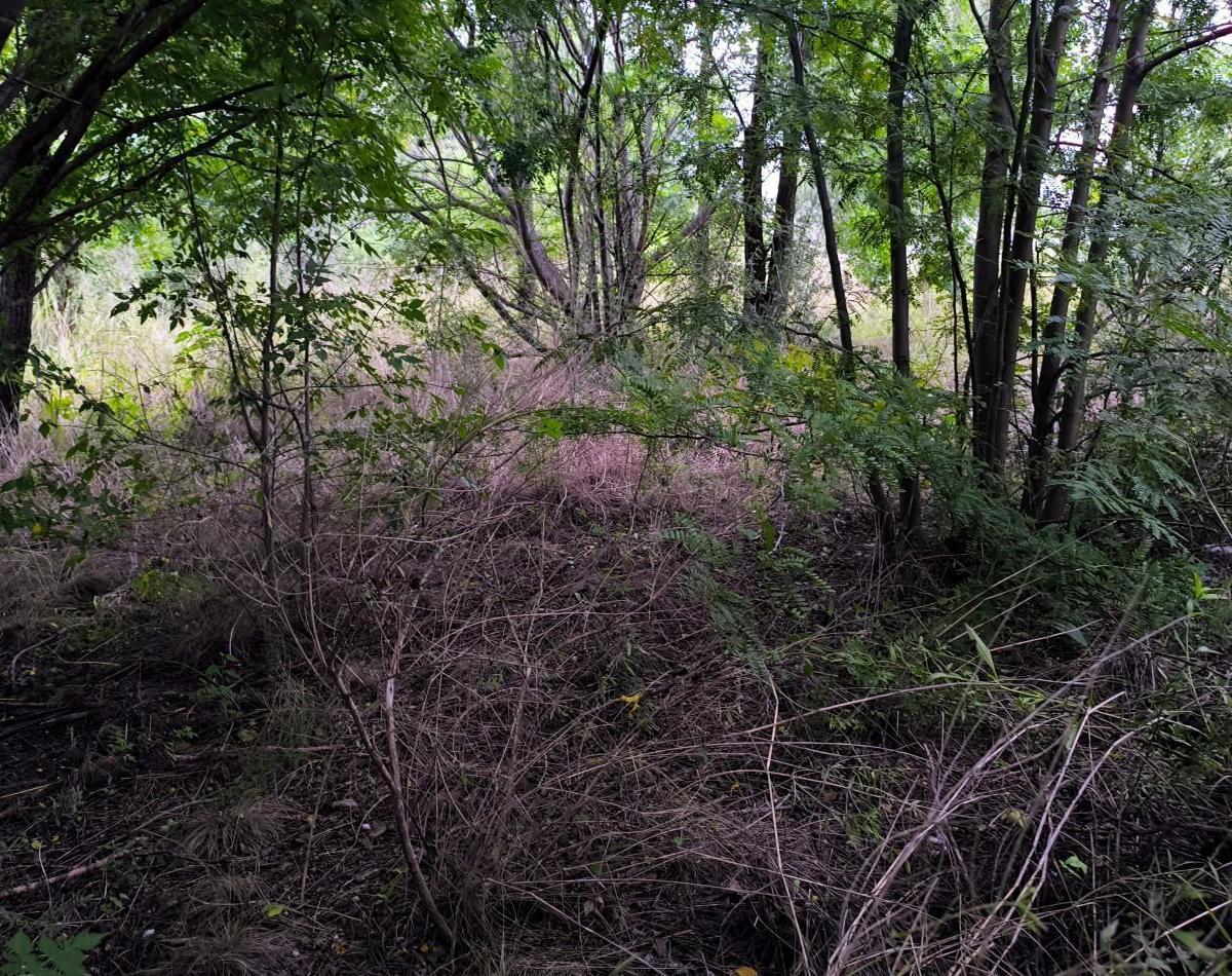 Foto de Vendo lote de 712m2 en Cosquin- Molinari Cordoba, imagen 4