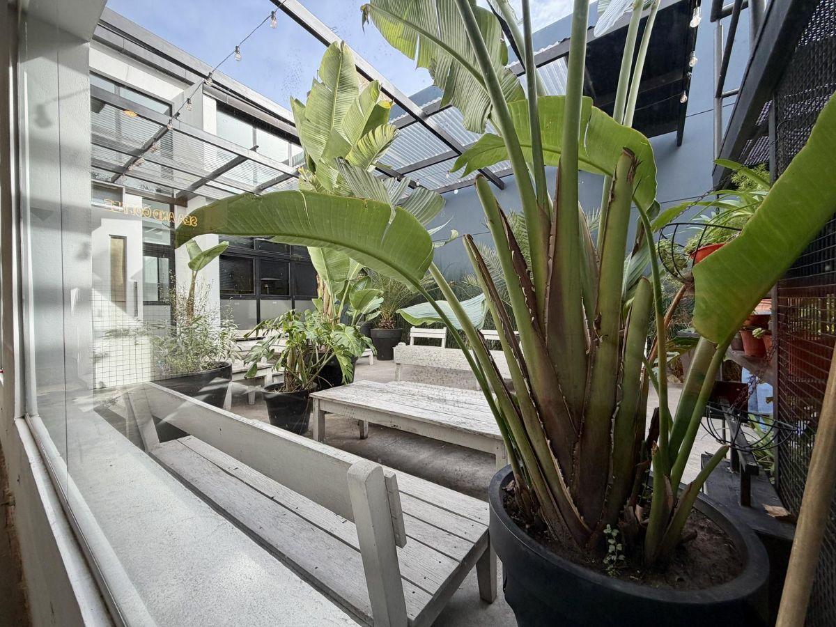 Foto de Amplio local comercial en exclusiva zona Güemes - Mar del Plata, imagen 5