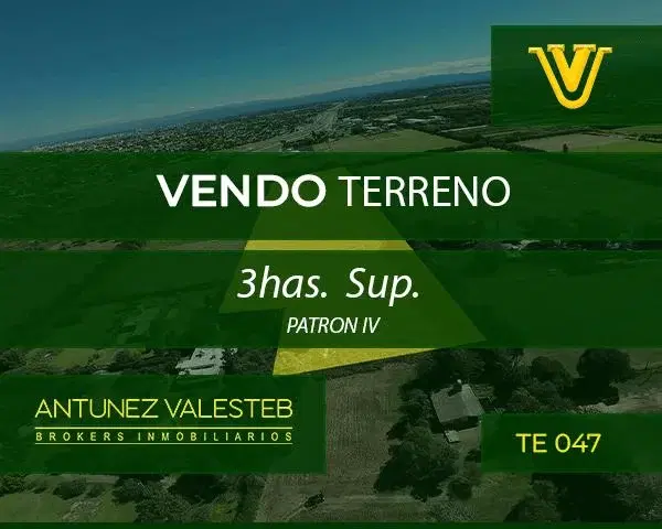 VENDO TERRENO Industrial Patrón IVa 3,887Has. (TE 047) 1