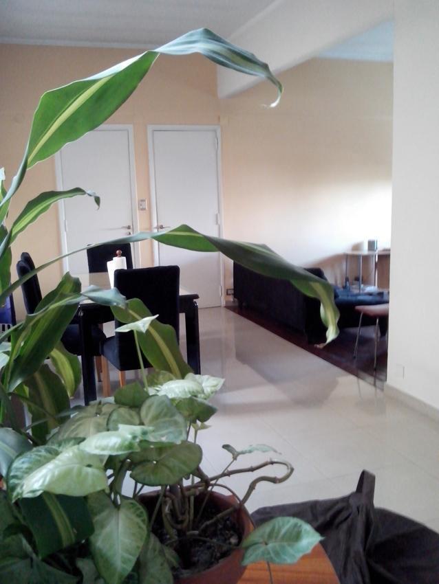 Foto de PH multifamiliar - 2 plantas - Independiente, imagen 2
