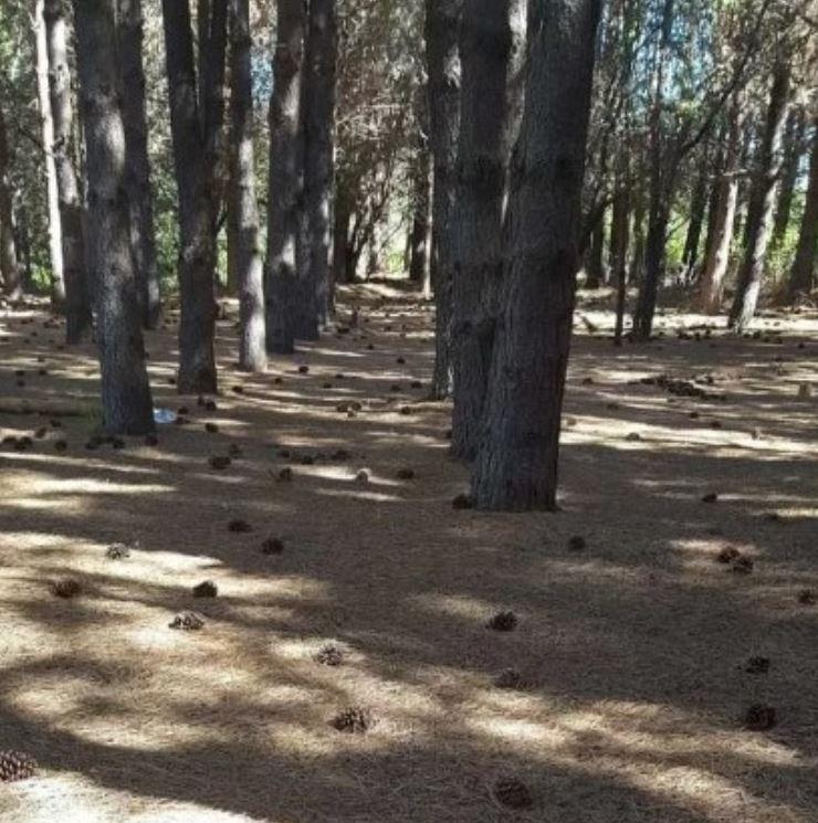 Hermosa Fracción de 2,6 Hectáreas Cerca del El Bolsón 3