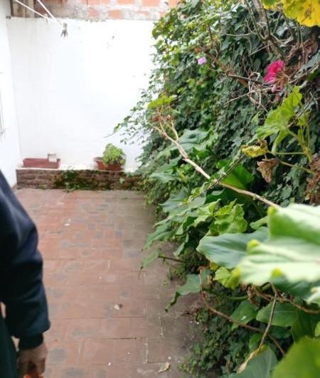 Casa en Alquiler en Mar Del Plata 3