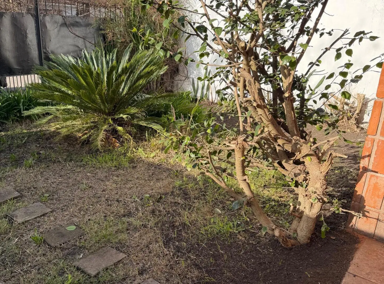 Casa en Alquiler en Dos De Abril 5