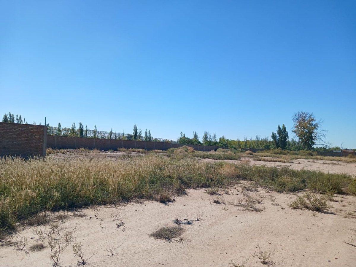 Gran Terreno - Bermejo - Mendoza 4