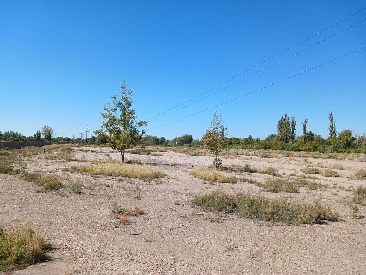 Gran Terreno - Bermejo - Mendoza 2
