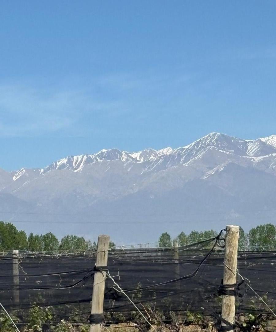 Foto de Se Vende Finca en Tunuyan, imagen 4