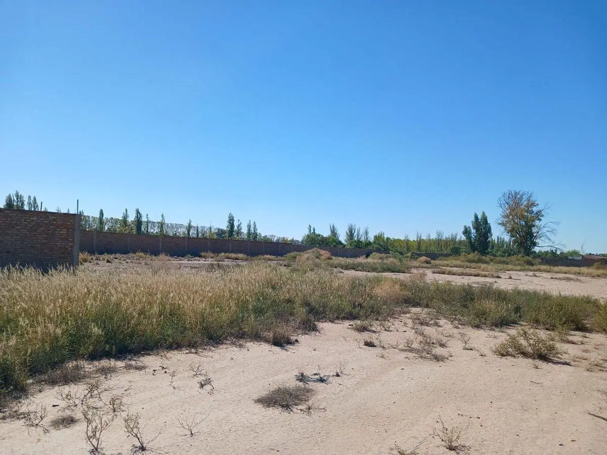GRAN TERRENO - BERMEJO - MENDOZA 2