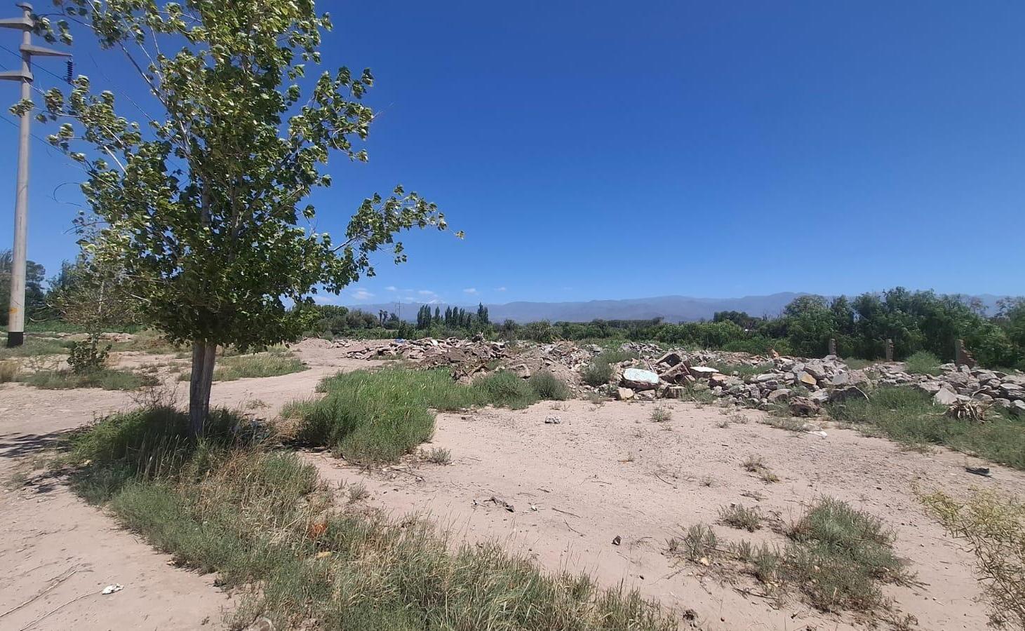 Foto de GRAN TERRENO - BERMEJO - MENDOZA, imagen 4