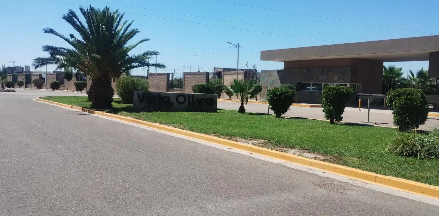 B° VISTA OLIVA 3