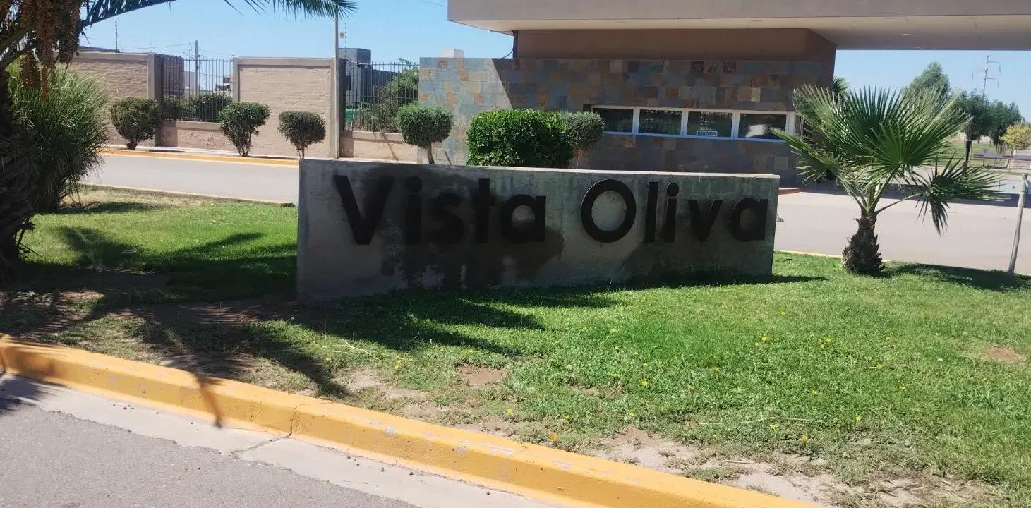 B° VISTA OLIVA 5