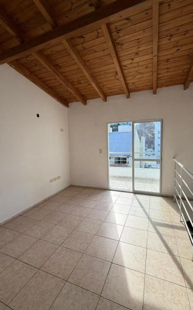 Amplio dúplex de 1 dormitorio 3