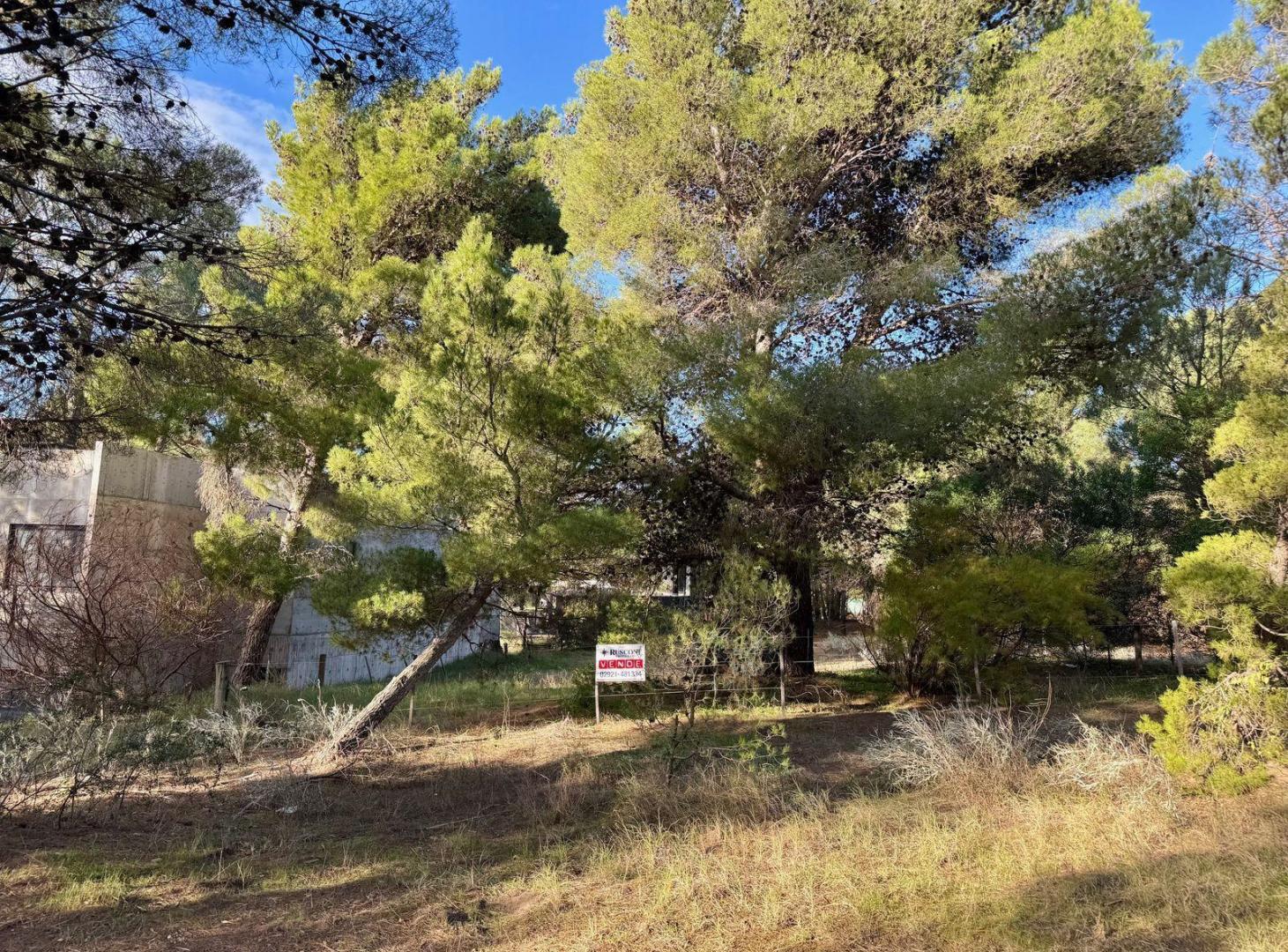 EXCELENTE TERRENO PINAR DEL GOLF