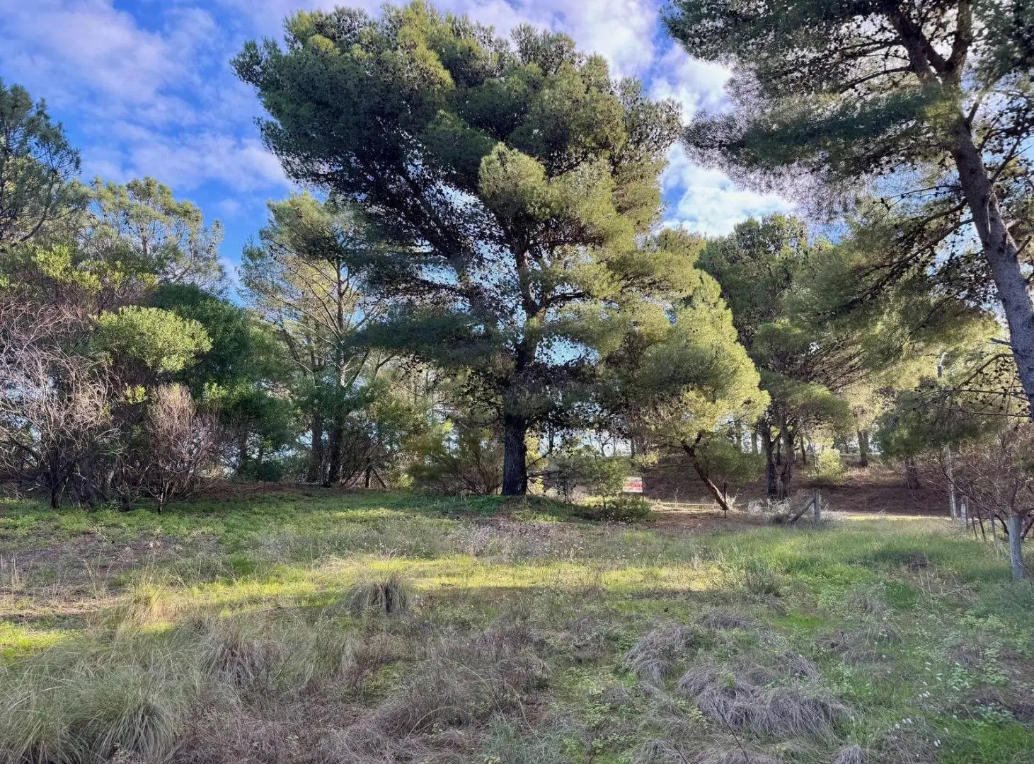 EXCELENTE TERRENO PINAR DEL GOLF 4