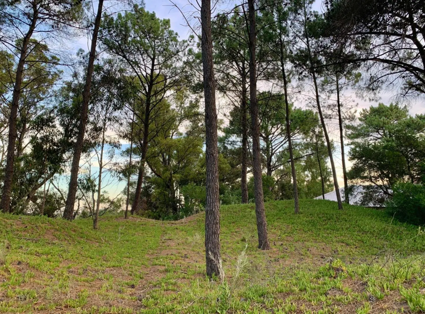 ESPECTACULAR TERRENO BARRIO LAS LOMAS 5