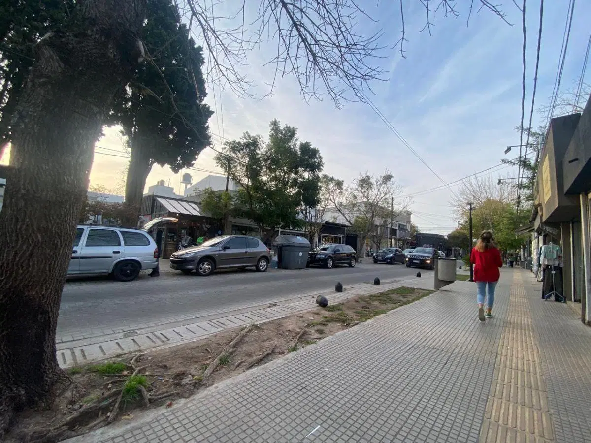Local en Paseo Comercial Cantilo Entre 13 C y 13 B 1