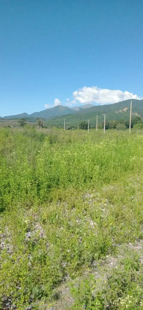 VENTA TERRENO BARRANCAS - SAN ANTONIO 3