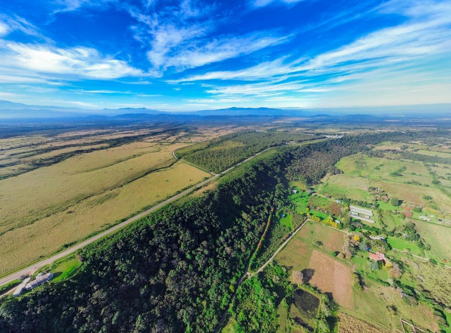 Foto de VENTA TERRENO EN LA TOMA, imagen 5