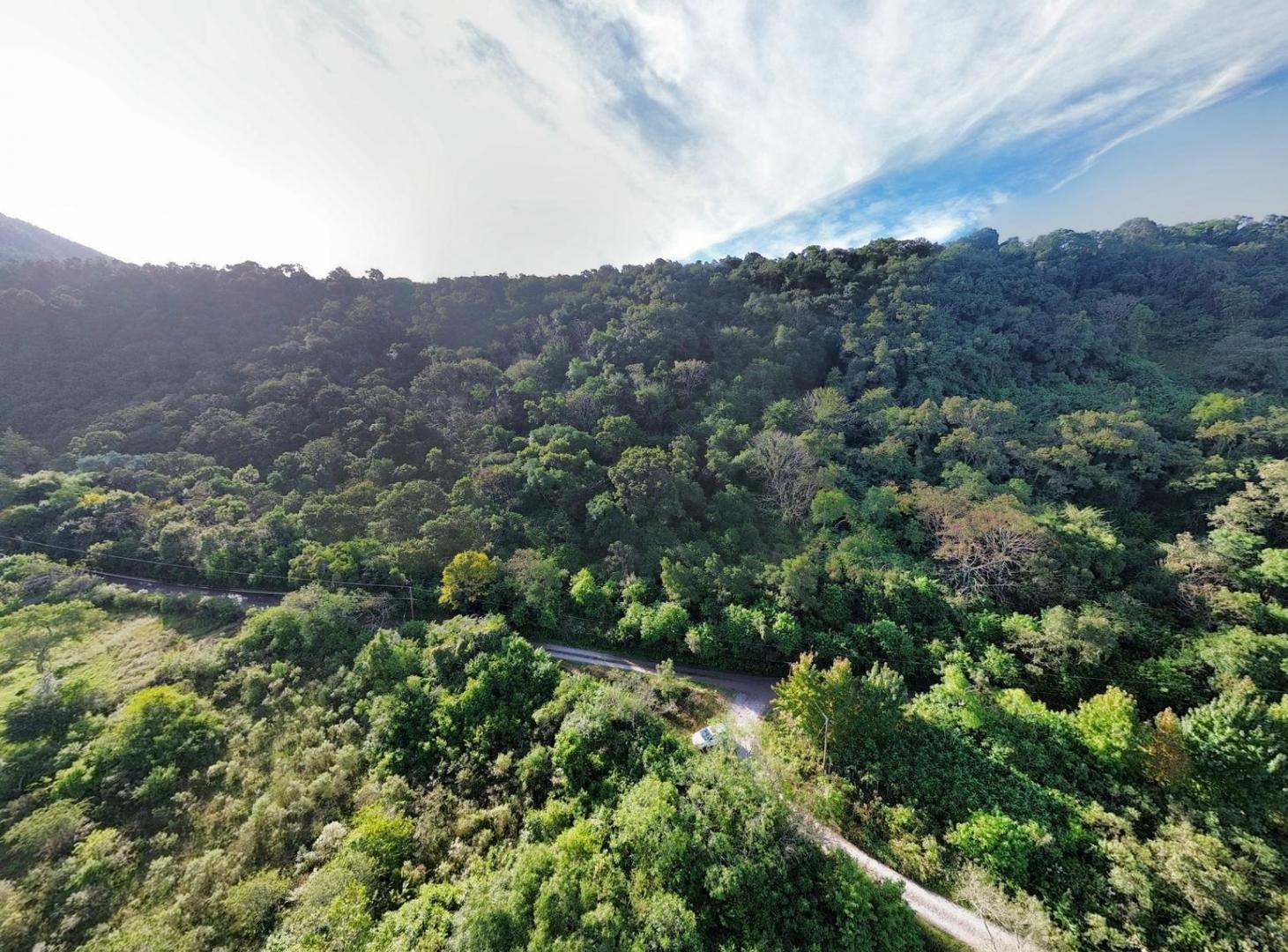 Foto de VENTA TERRENO EN LA TOMA, imagen 2