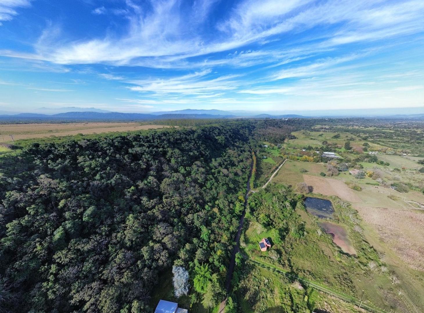 Foto de VENTA TERRENO EN LA TOMA, imagen 4