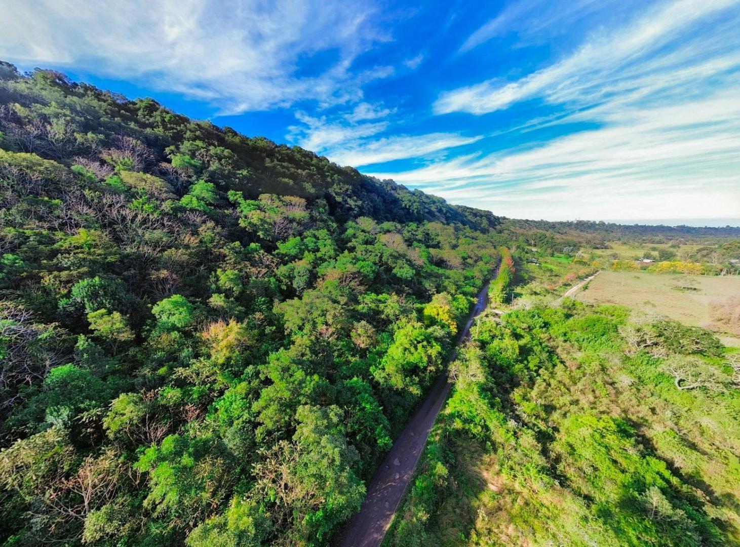 Foto de VENTA TERRENO EN LA TOMA, imagen 5