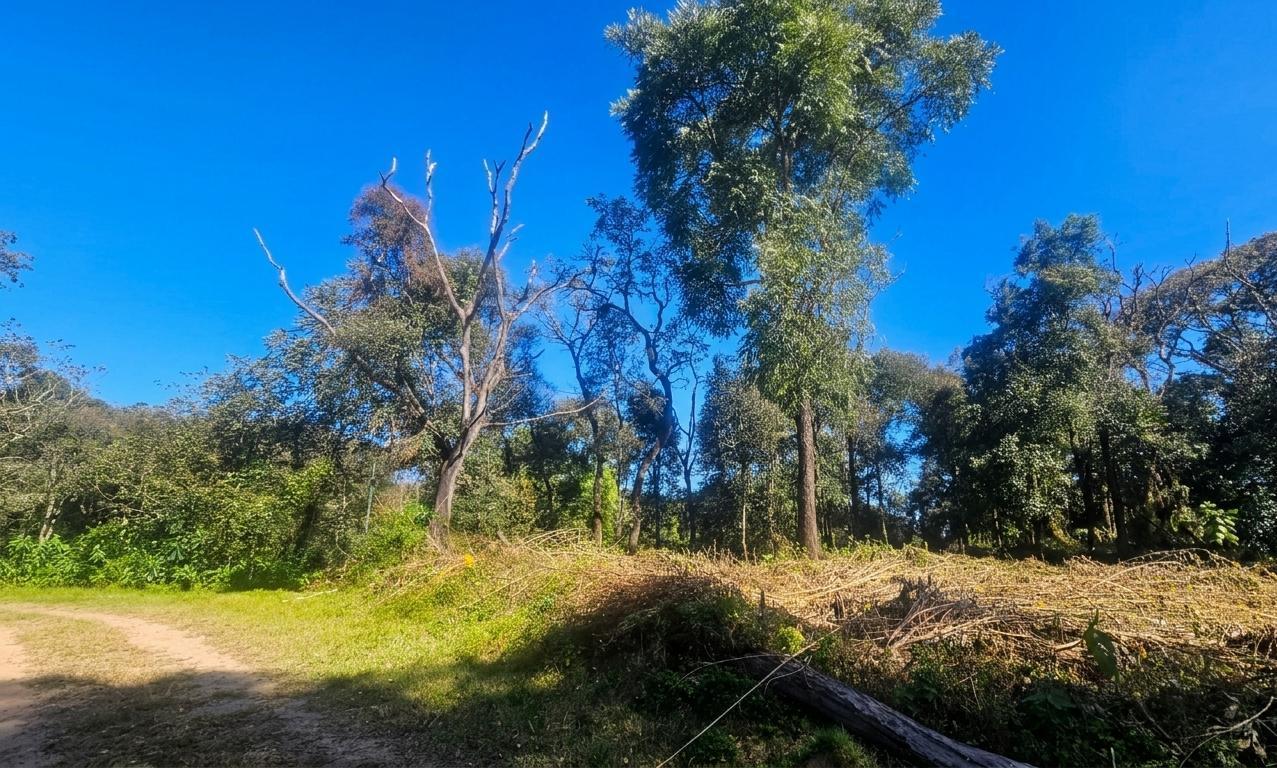 Foto de TERRENO EN VENTA HORCO MOLLE - LOS PERALES, imagen 3
