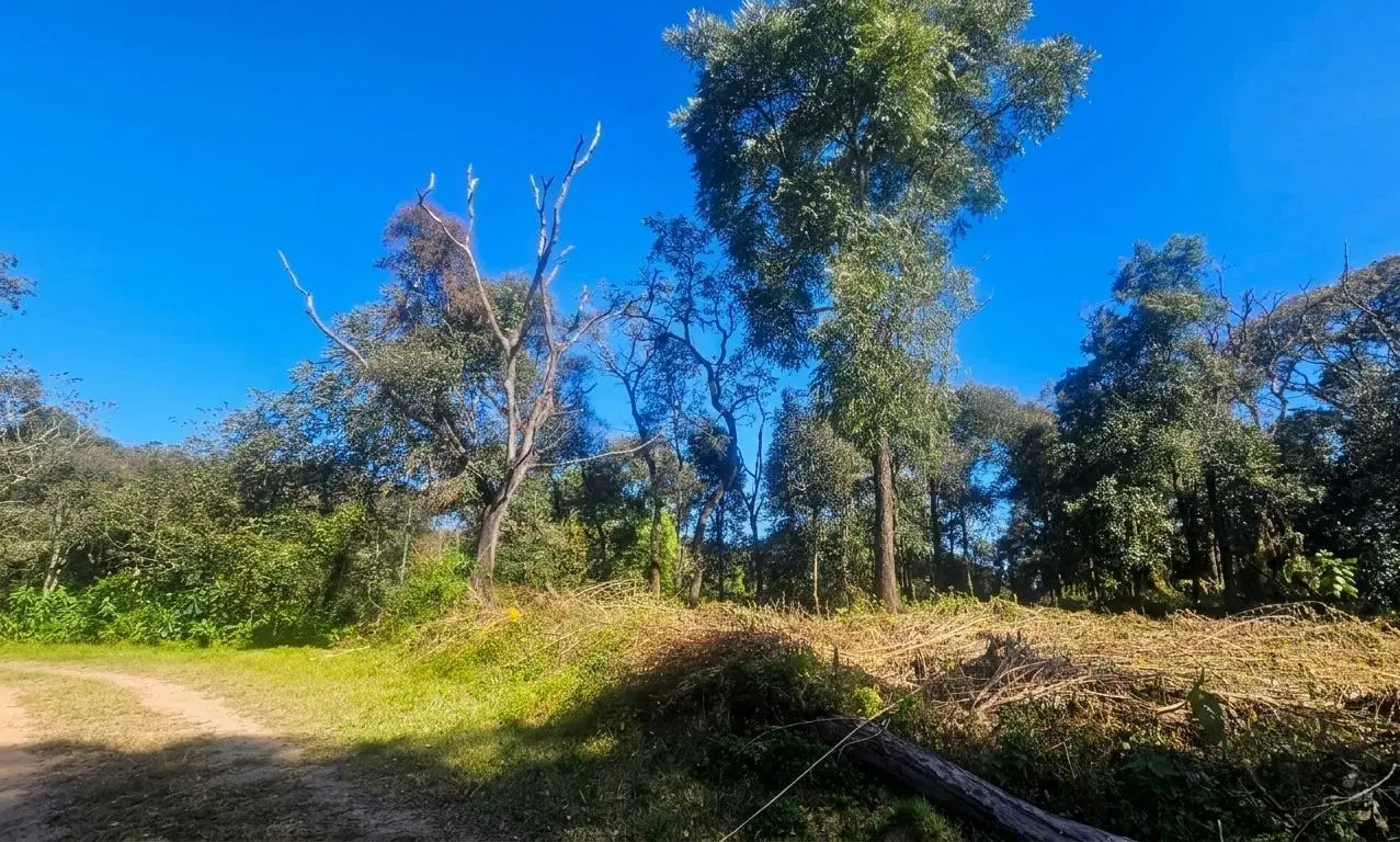 TERRENO EN VENTA HORCO MOLLE - LOS PERALES 2