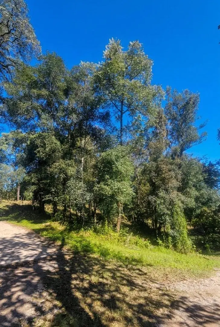 TERRENO EN VENTA HORCO MOLLE - LOS PERALES 4