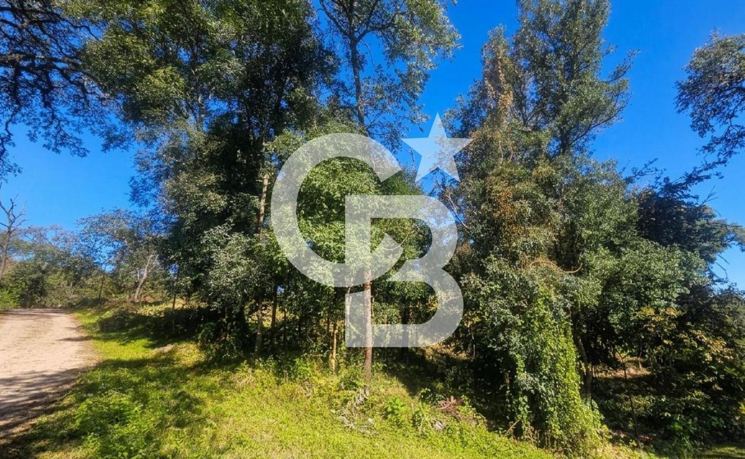 Foto de TERRENO EN VENTA HORCO MOLLE - LOS PERALES, imagen 2