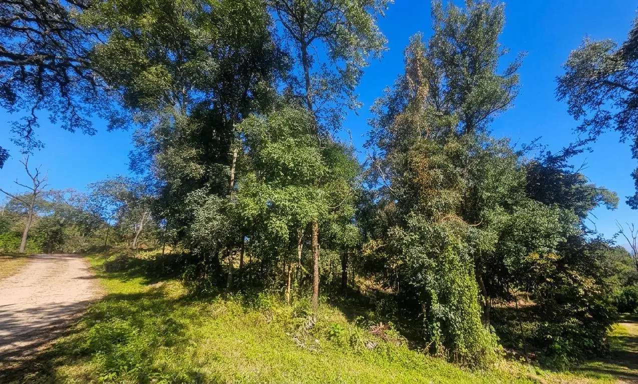 TERRENO EN VENTA HORCO MOLLE - LOS PERALES 3