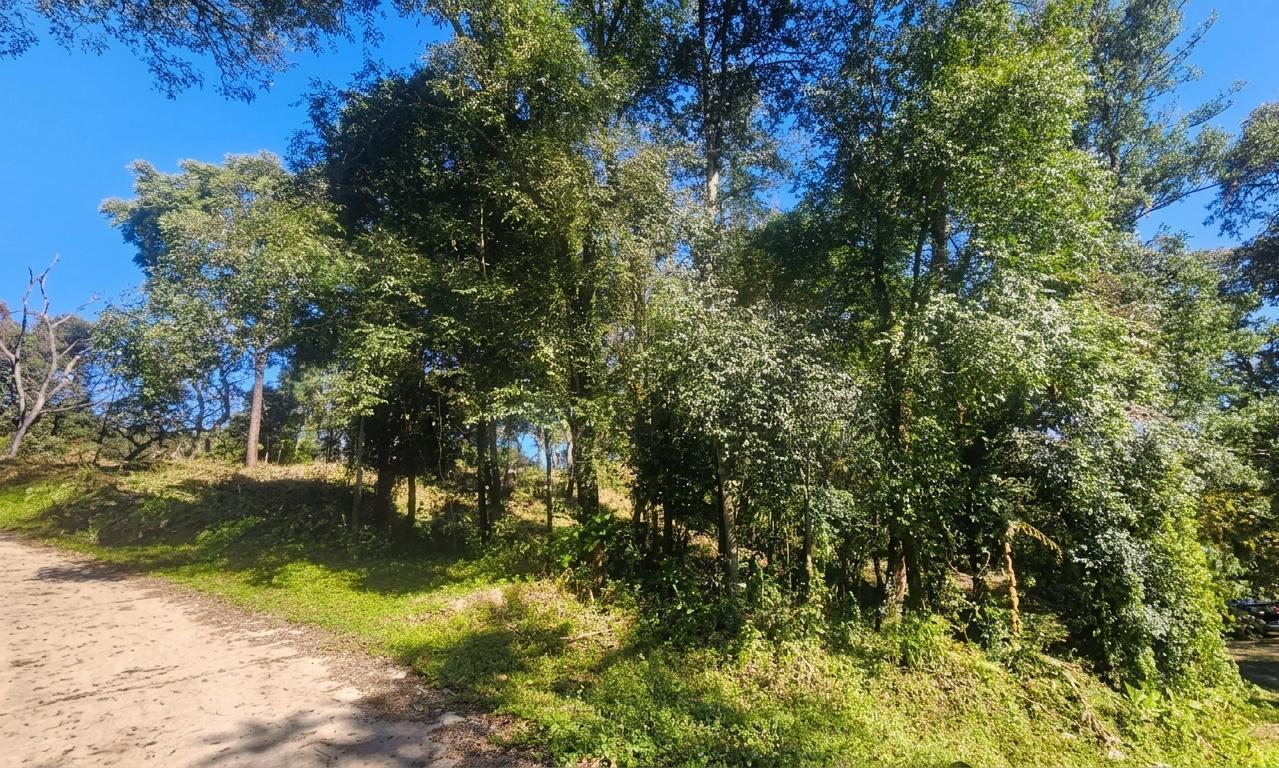 Foto de TERRENO EN VENTA HORCO MOLLE - LOS PERALES, imagen 5