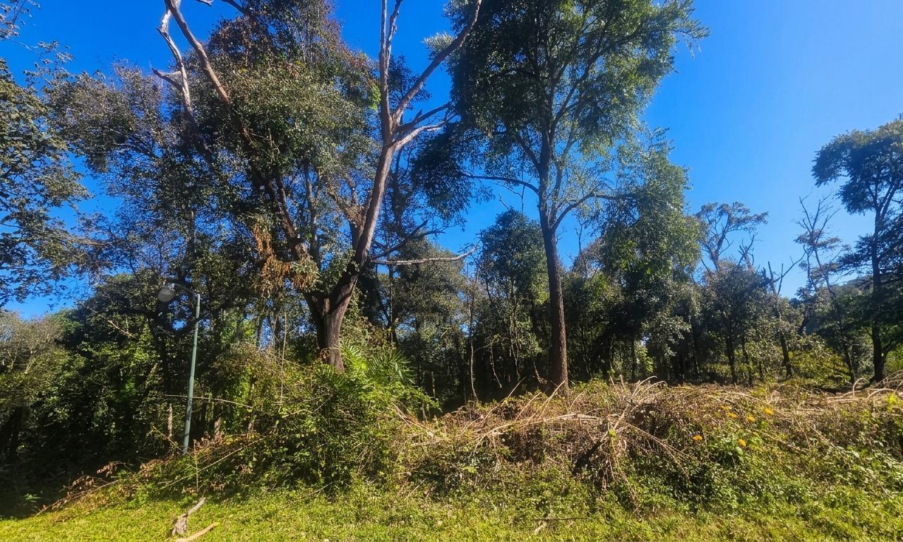 Foto de TERRENO EN VENTA HORCO MOLLE - LOS PERALES, imagen 4