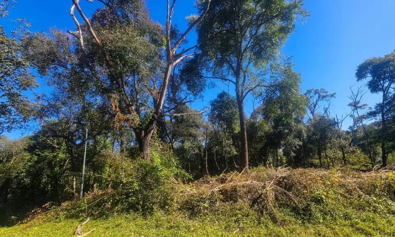 TERRENO EN VENTA HORCO MOLLE - LOS PERALES 5