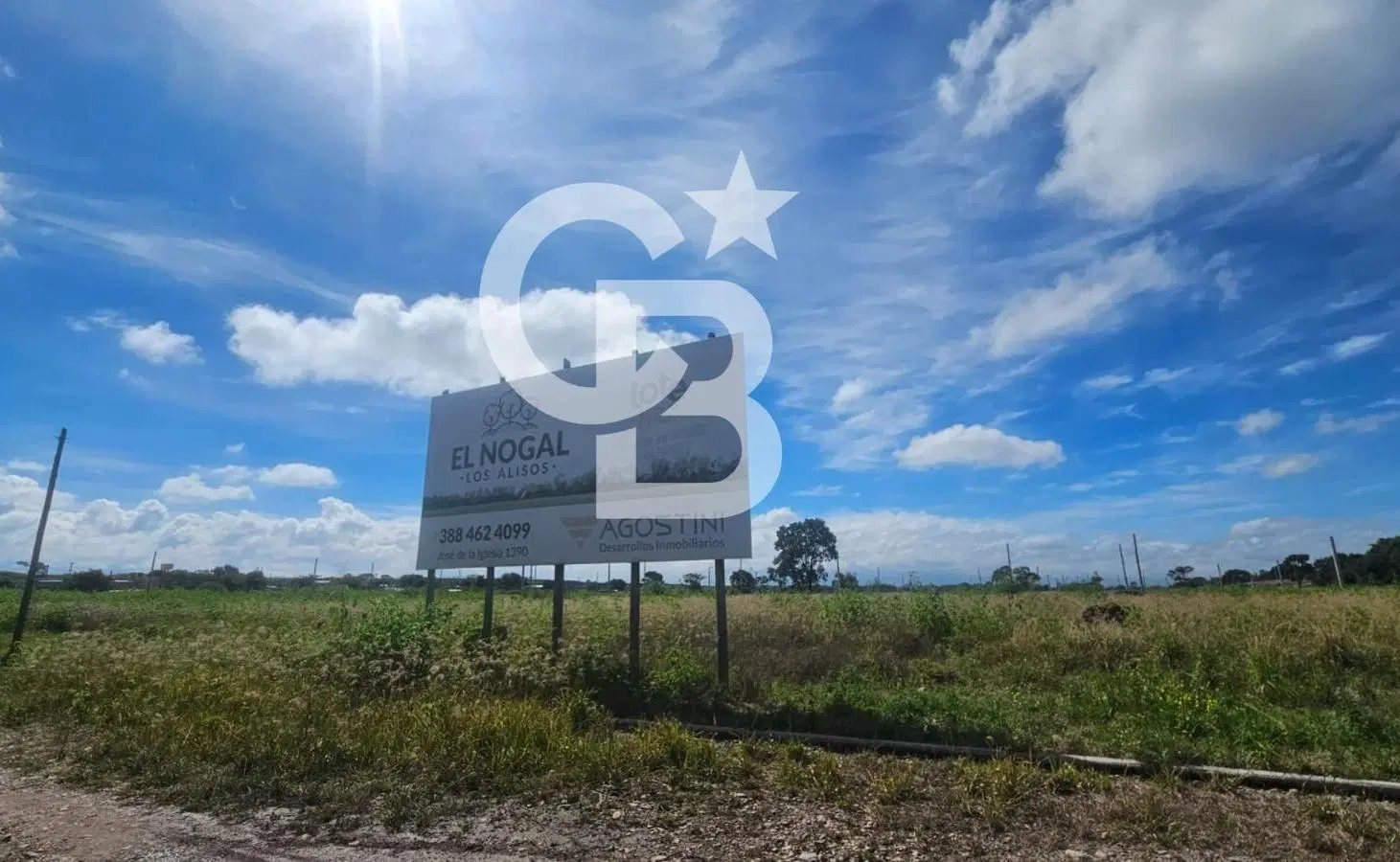TERRENO EN VENTA EL NOGAL | LOS ALISOS 4