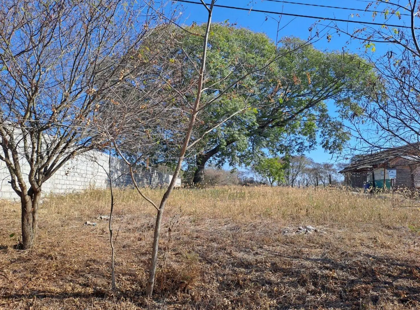 Venta Terreno en Bosque del Ceibal 1 5