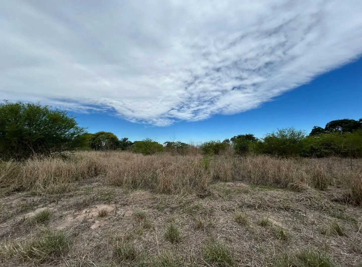 VENTA TERRENO LA ISLA 4