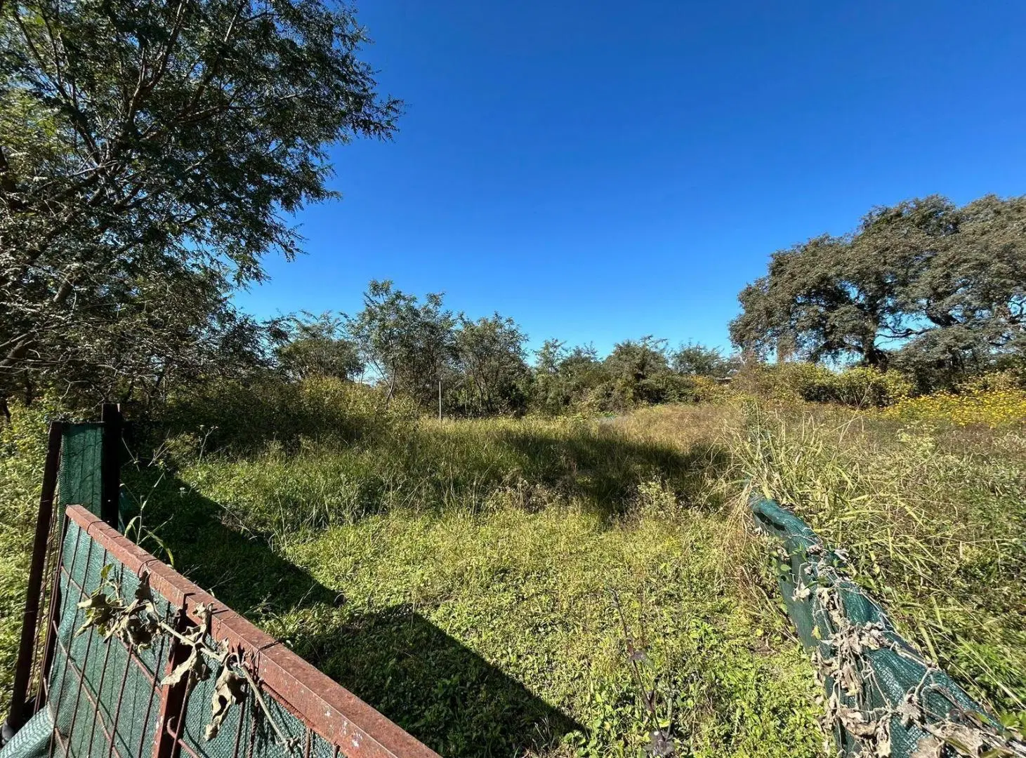 Venta | Terreno en Bosque del Ceibal I Ceibal 5