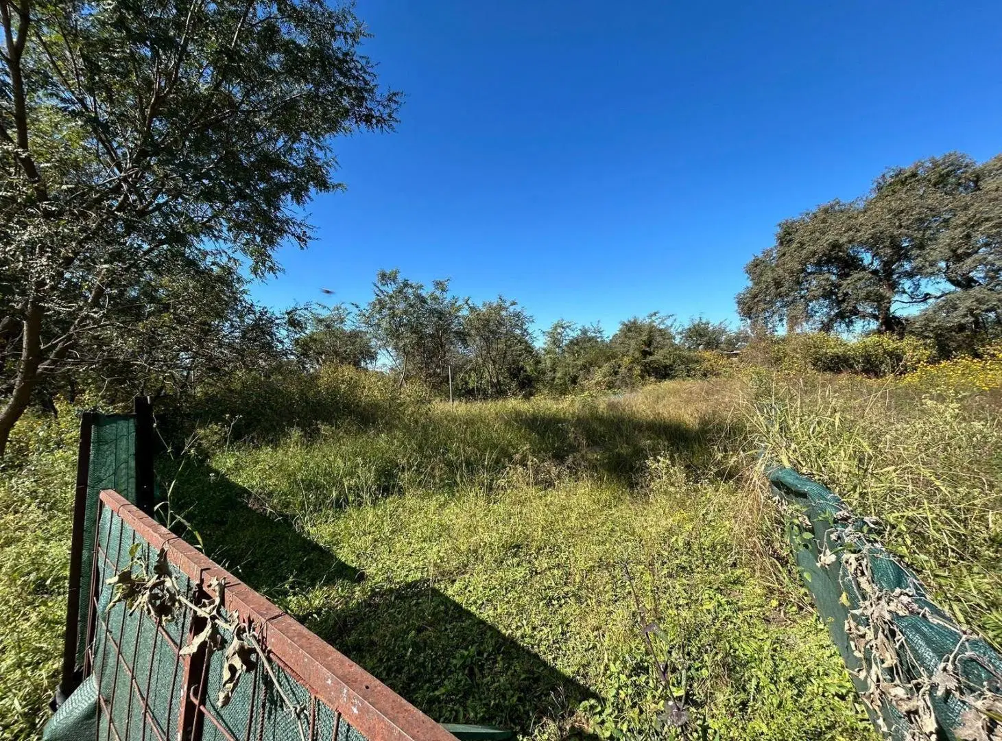 Venta | Terreno en Bosque del Ceibal I Ceibal 7