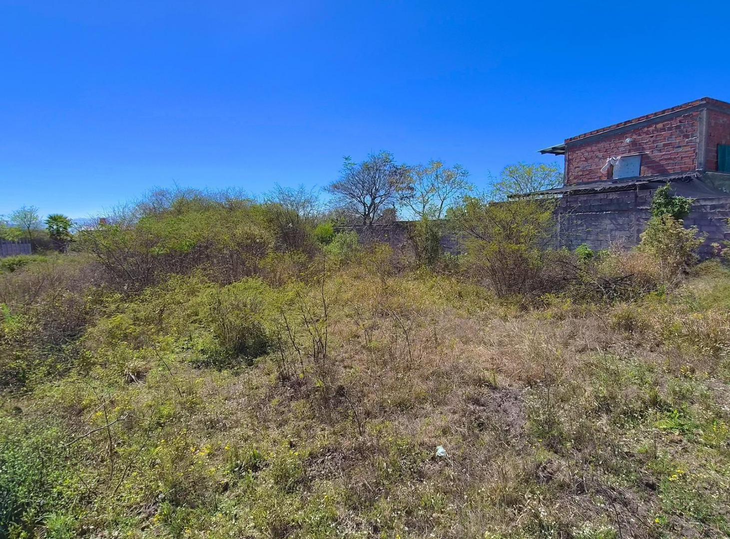 Foto de Terreno en Ceibal, imagen 3