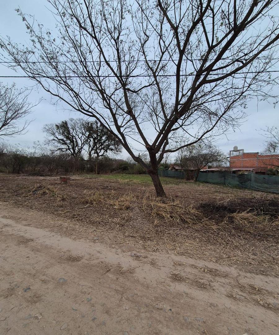 Foto de Venta Terreno en Bosque del Ceibal I, imagen 3