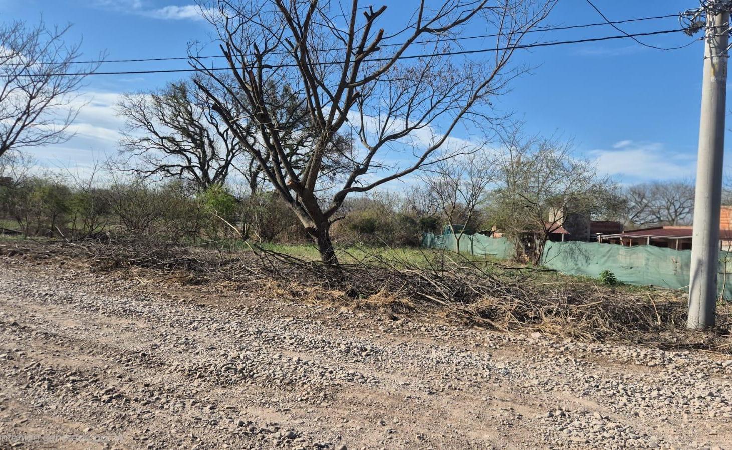 Foto de Venta Terreno en Bosque del Ceibal I, imagen 1