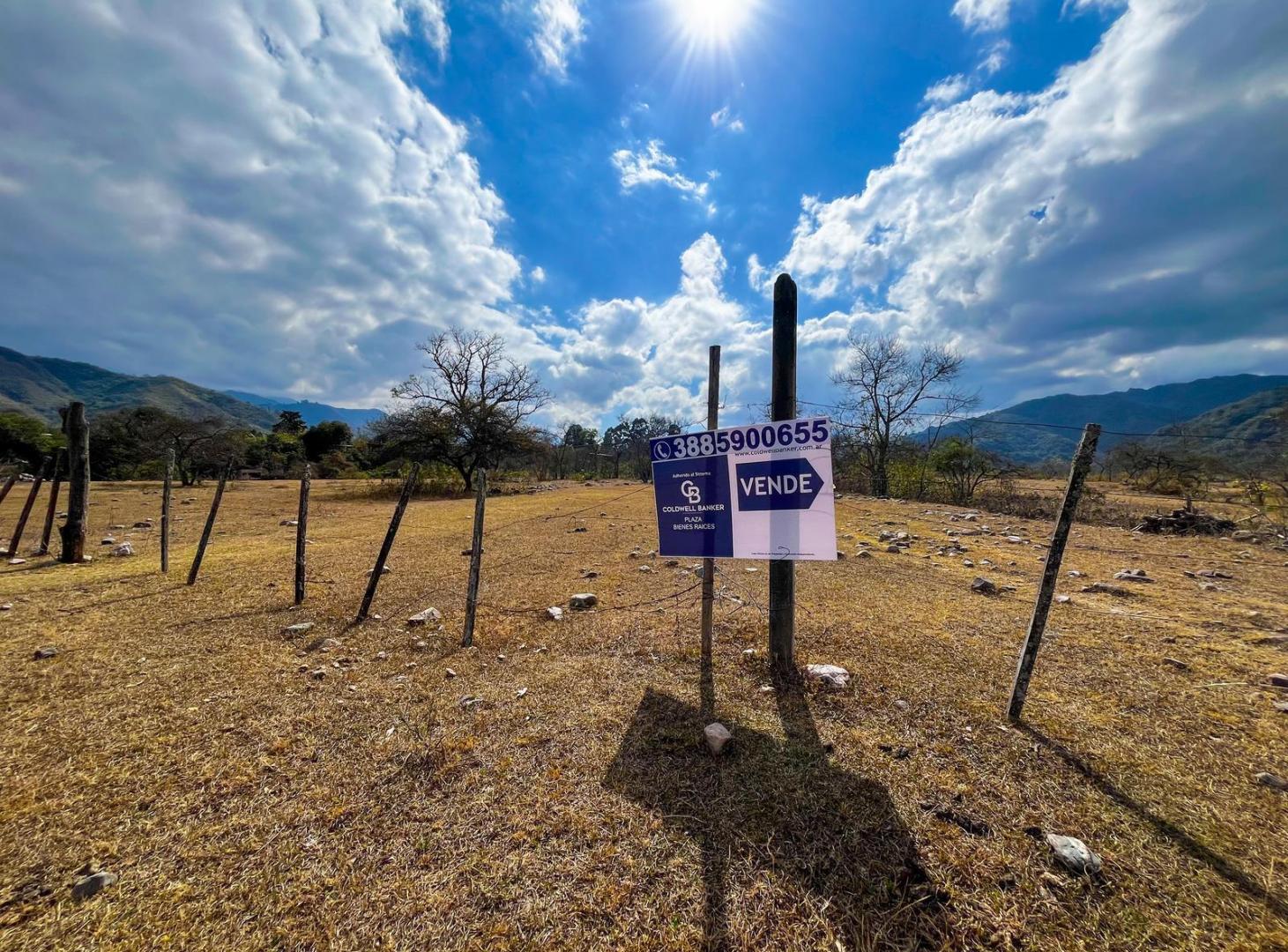 Foto de VENTA | Hectarea en Lozano, imagen 3