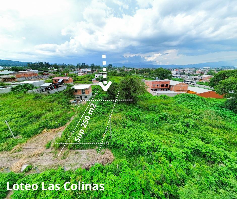 Foto de Venta Terreno en Alto Comedero, imagen 1