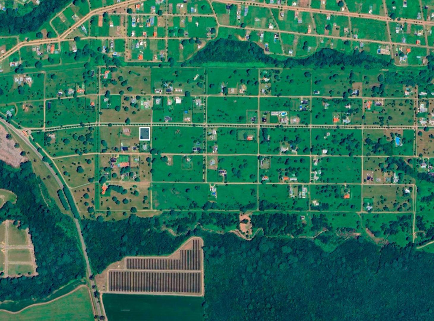Foto de VENTA | Terreno en Las Delicias, imagen 3